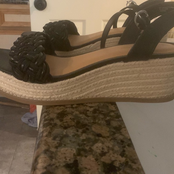 Sandlels - Picture 1 of 1